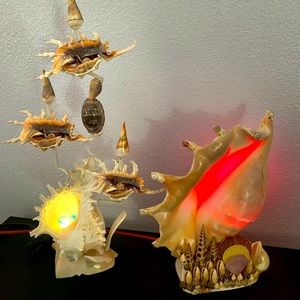 Handmade sea shells lamps